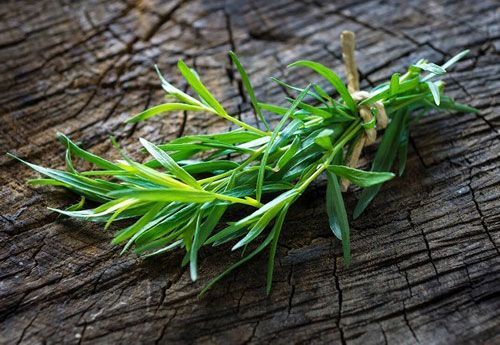 Tarragon EO / Эстрагон (тархун) 100% эфирное масло