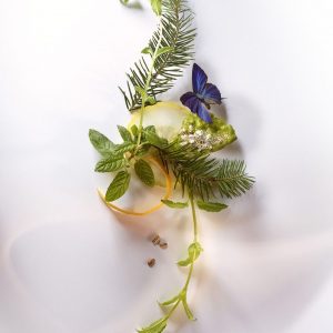 Terpinyl Acetate (Terpineol alpha acetate) IFF / Терпинил ацетат