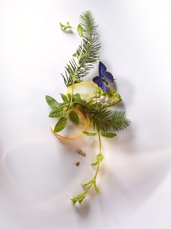 Terpinyl Acetate (Terpineol alpha acetate) IFF / Терпинил ацетат