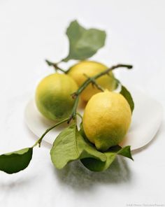 TETRAROME® CITRON 987317 (FIRMENICH) / Тетраром Цитрон