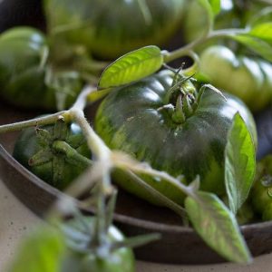 Tomato Leaf (KAE) / Томатный лист аккорд