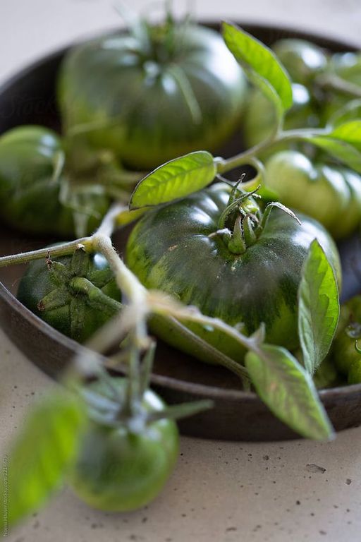 Tomato Leaf (KAE) / Томатный лист аккорд
