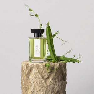 Top Galbanum 18326 SA (Firmenich) / Гальбанум реконструкция