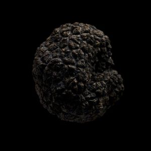 Truffle base PCW / Трюфель база