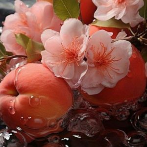 Veloutone 990257 (Firmenich) / Велютон