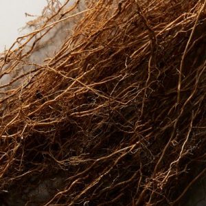 Vetiver (Vetiveryl) acetate Haiti (IFF) / Ветивер ацетат
