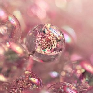 Zenolide (IFF) / Зенолид