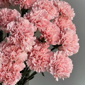 Carnation accord парфюмерная формула / Гвоздика аккорд