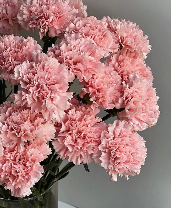 Carnation accord парфюмерная формула / Гвоздика аккорд