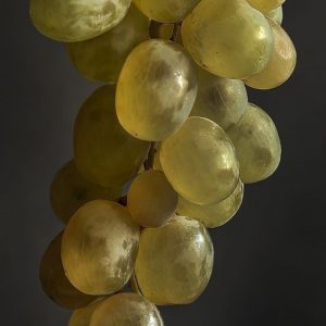 WHITE COGNAC France EO (100% ЭФИРНОЕ МАСЛО БЕЛЫЙ КОНЬЯК) Франция