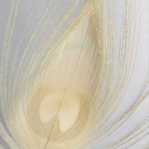 Traseolide (Givaudan) / Тразеолид