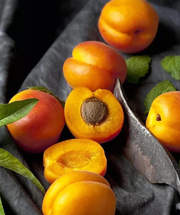 Apricot base PCW / Абрикос база