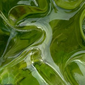 L-Menthyl Lactate (Symrise) / Л Ментил лактат