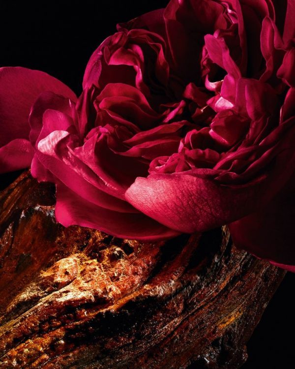 Orinox™ (PFW) / Оринокс