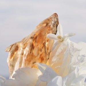 Cervolide® (Givaudan) / Церволид