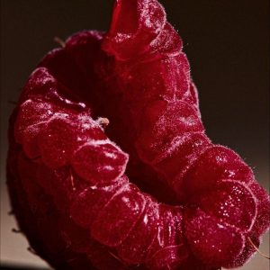 Aldehyde C-20 (Raspberry glycidate) / Альдегид С-20 (Малина глицидат)