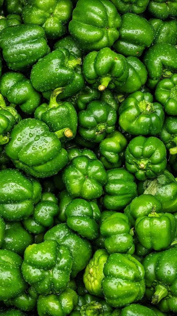 Galbanum pyrazine 1% DPG / Гальбанум пиразин